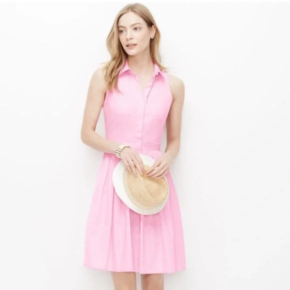 Ann Taylor Fit & Flare Powder Pink Shirtdress - Picture 1 of 11